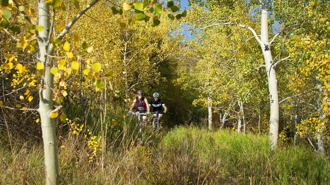 Photo of Outdoor in Avon