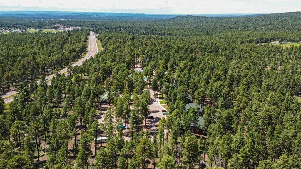 Photo of Others in Pinetop