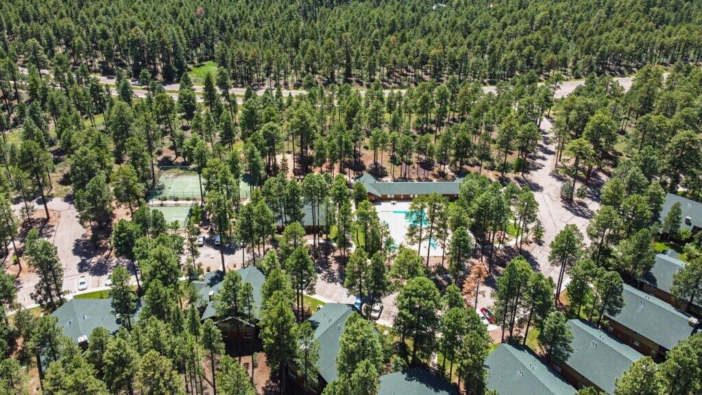 Photo of Others in Pinetop