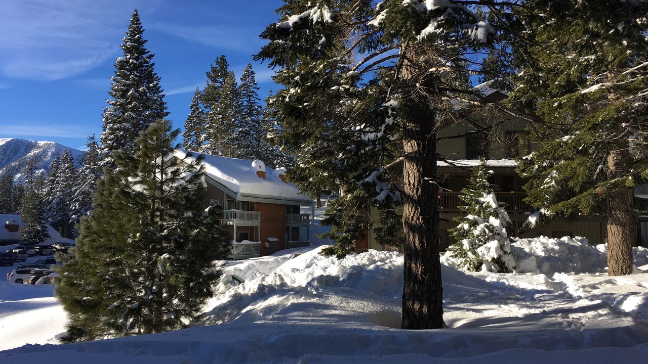 Photo of Others in Mammoth Lakes