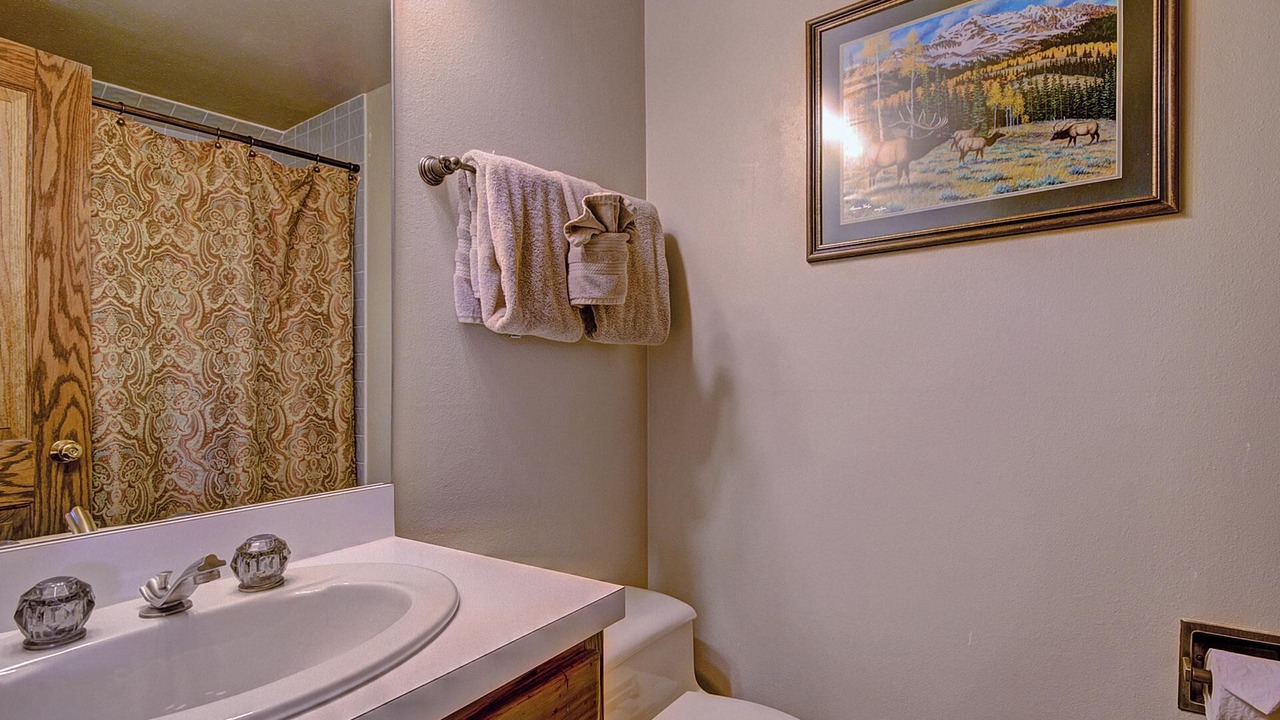 Photo of Bathroom in Warrior's Mark West