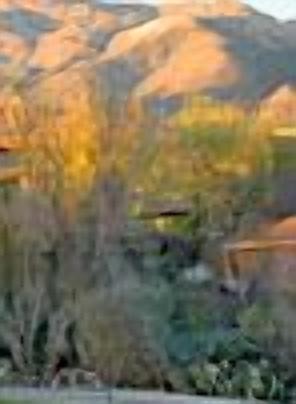 Photo of Outdoor in Tucson
