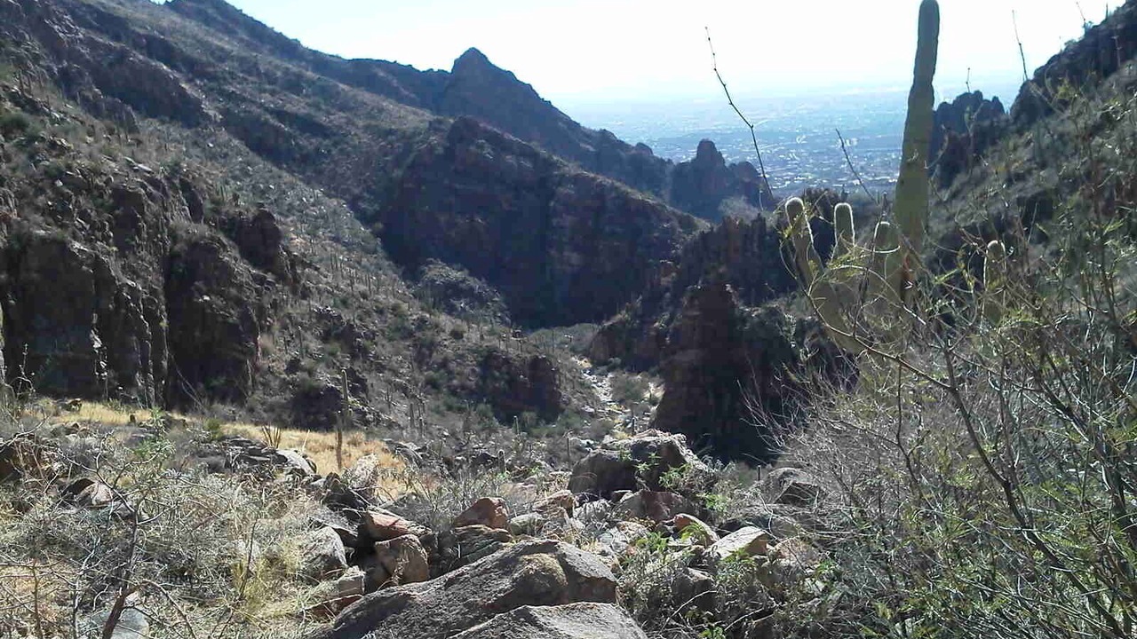 Photo of Outdoor in Tucson