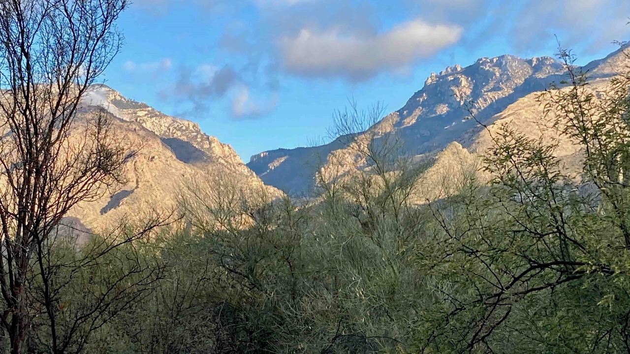 Photo of Others in Tucson