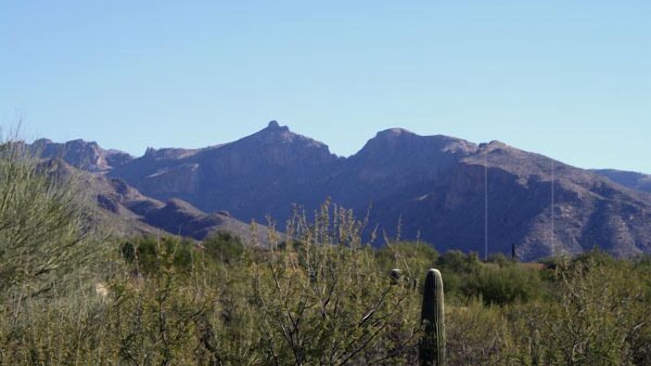 Photo of Others in Tucson