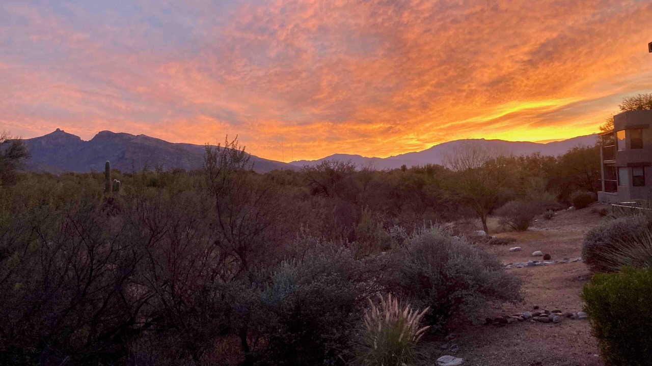 Photo of Others in Tucson