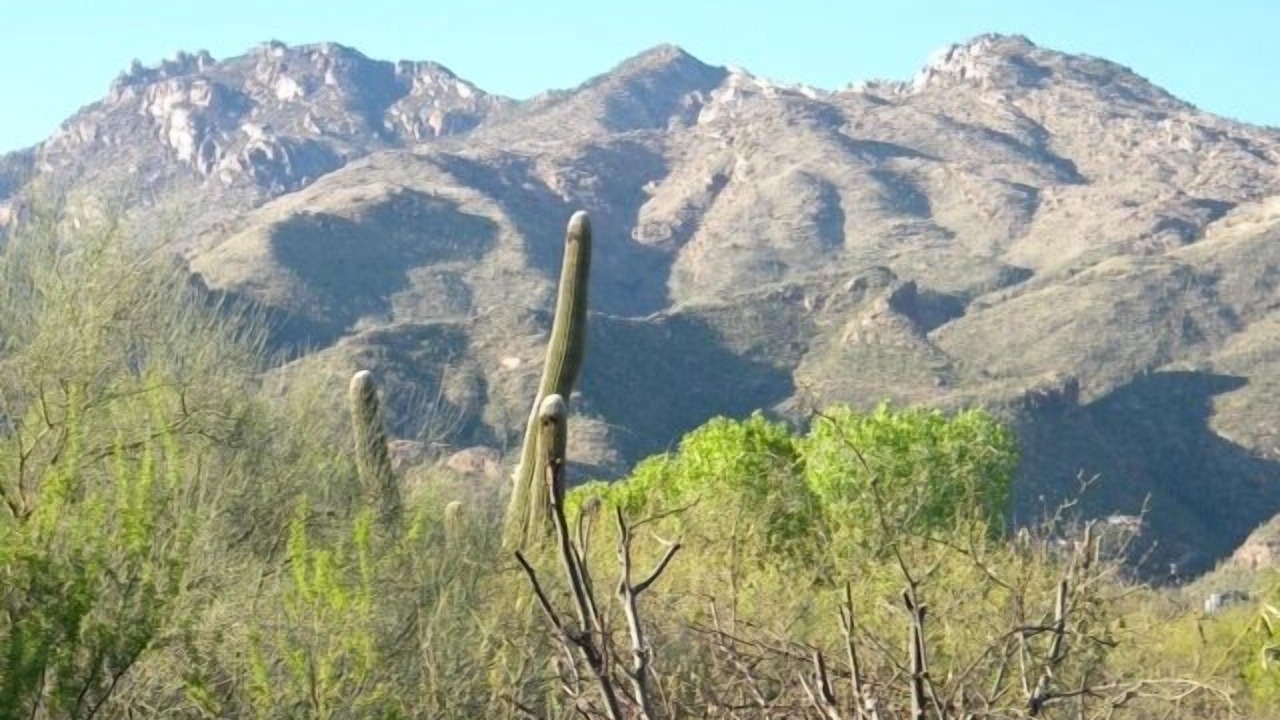 Photo of Others in Tucson