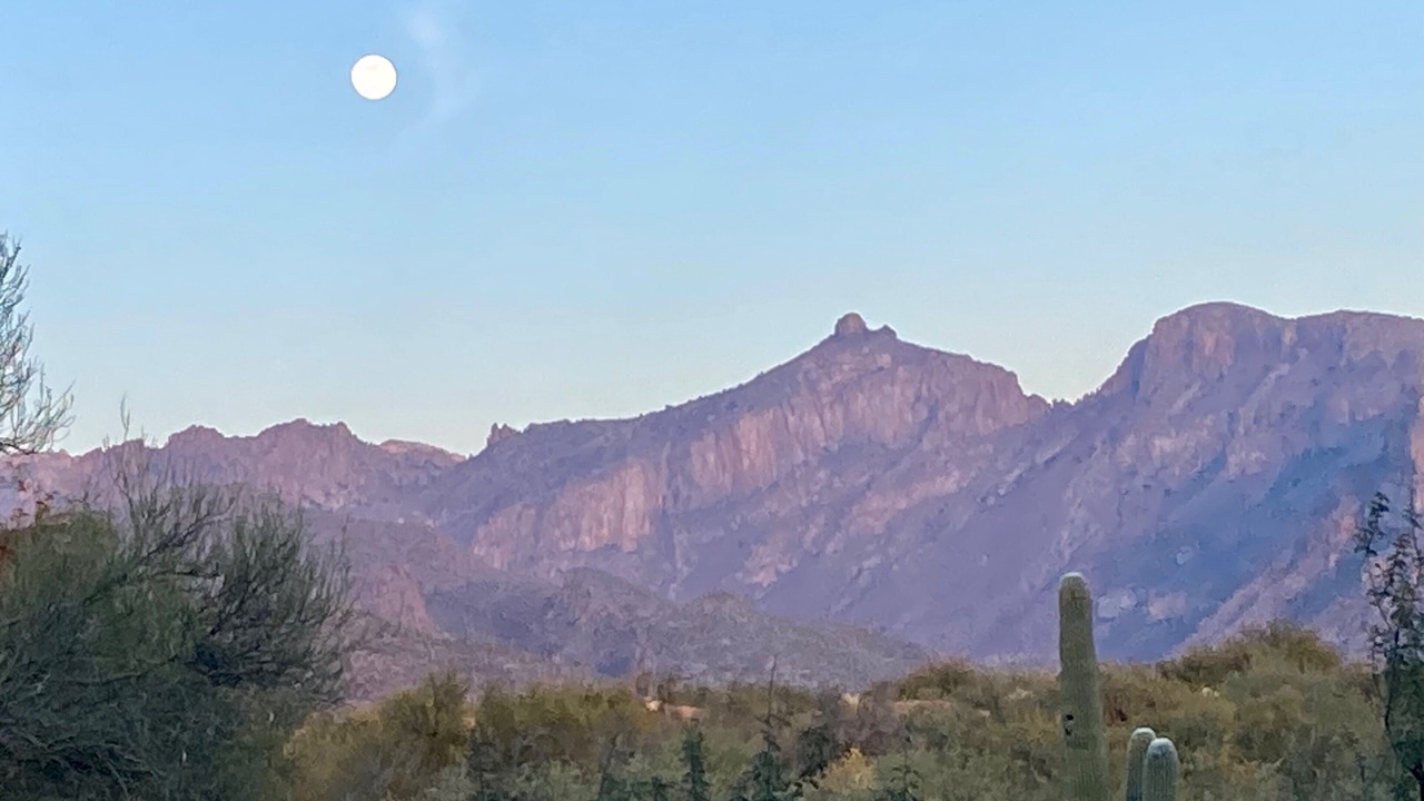 Photo of Others in Tucson
