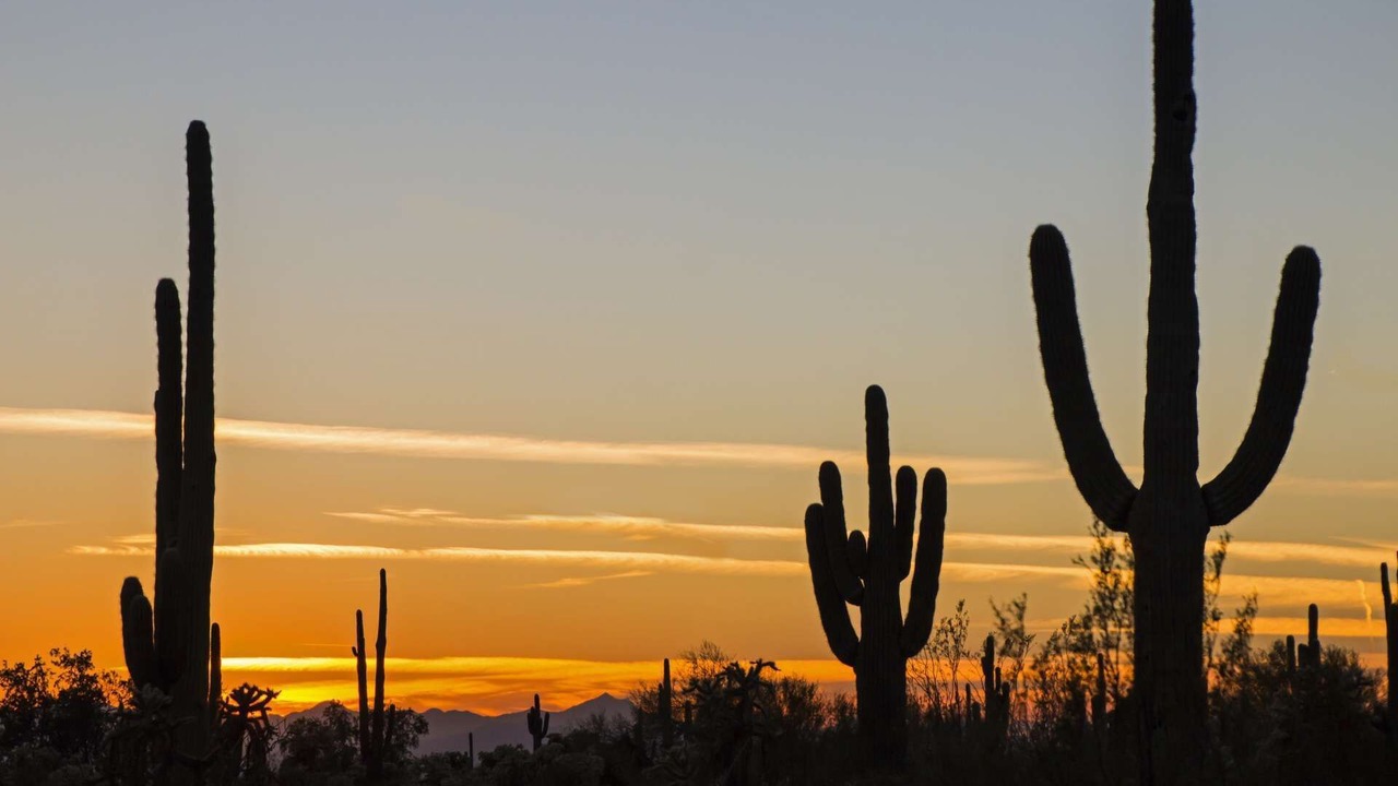 Photo of Others in South Scottsdale
