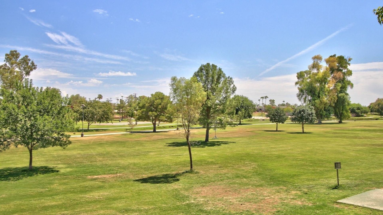 Photo of Others in South Scottsdale