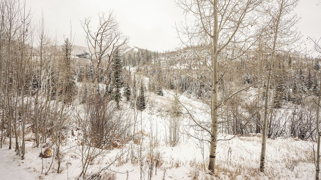 Photo of Others in Steamboat Springs