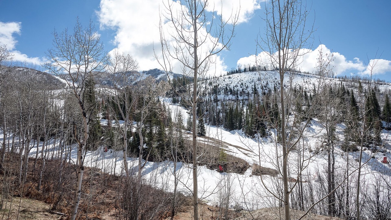 Photo of Others in Steamboat Springs