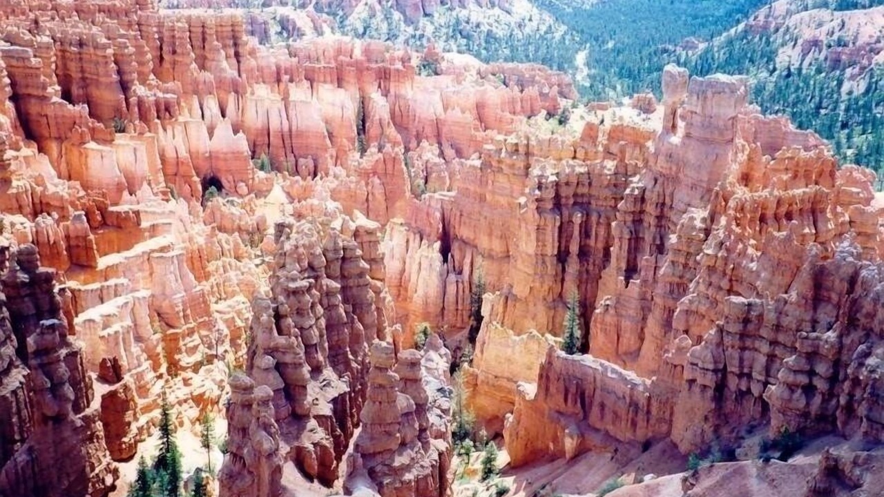 Photo of Others in St. George