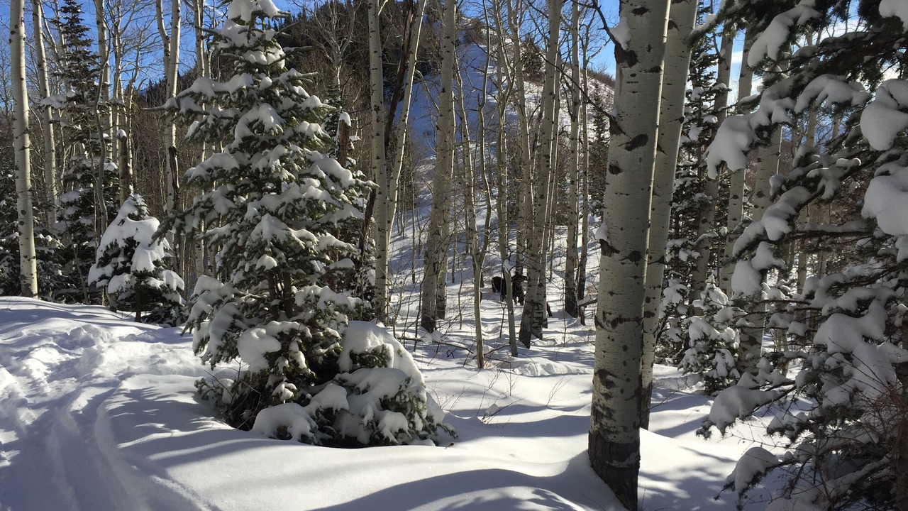 Photo of Others in Park City