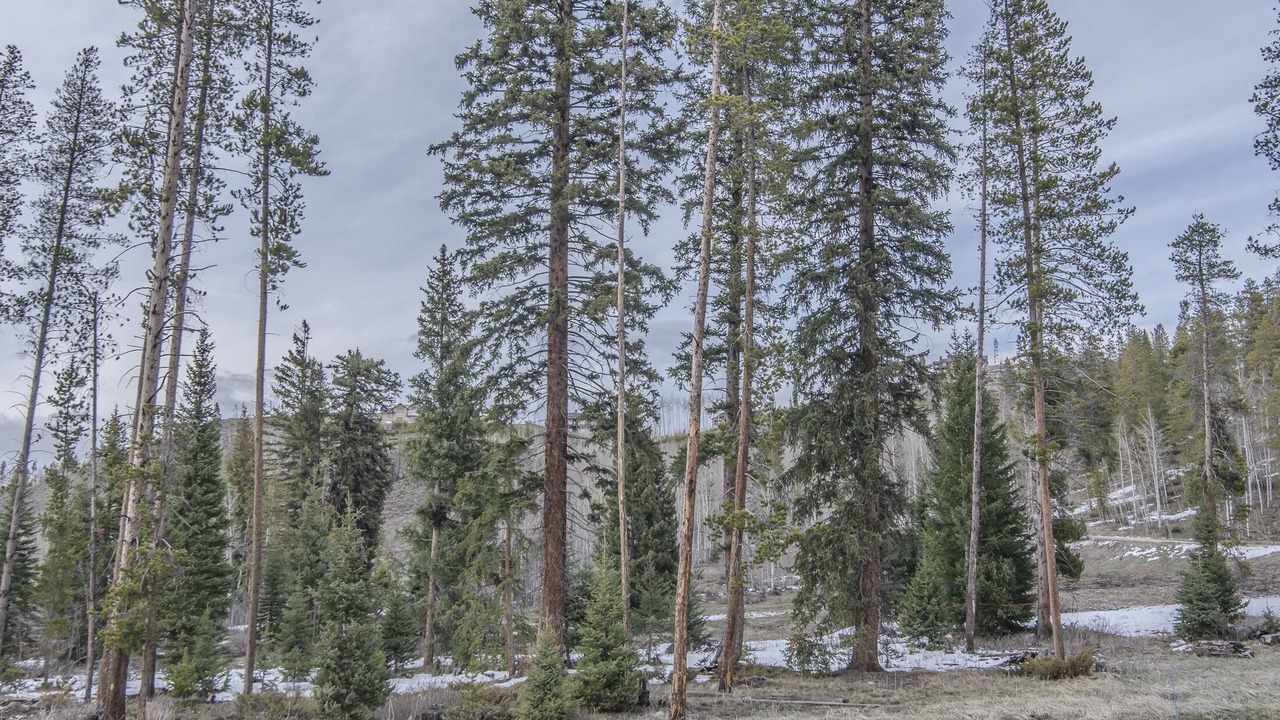 Photo of Outdoor in Rendezvous