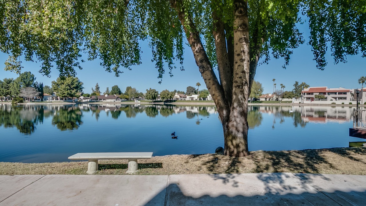 Photo of Outdoor in Desert Shores
