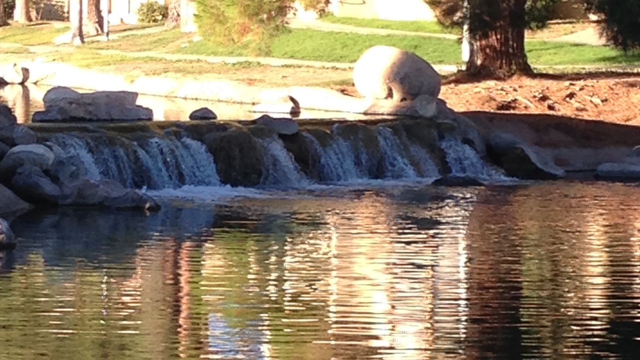 Photo of Others in Desert Shores