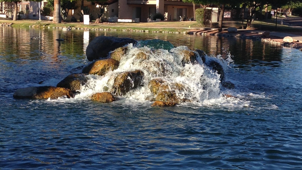 Photo of Outdoor in Desert Shores