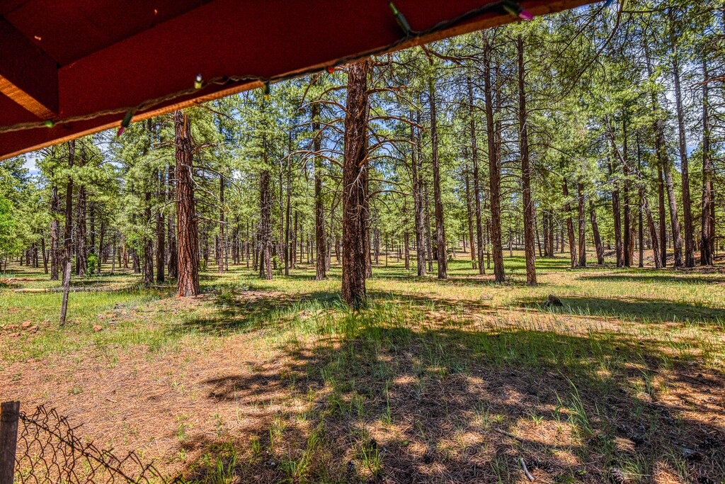 Photo of Outdoor in Parks