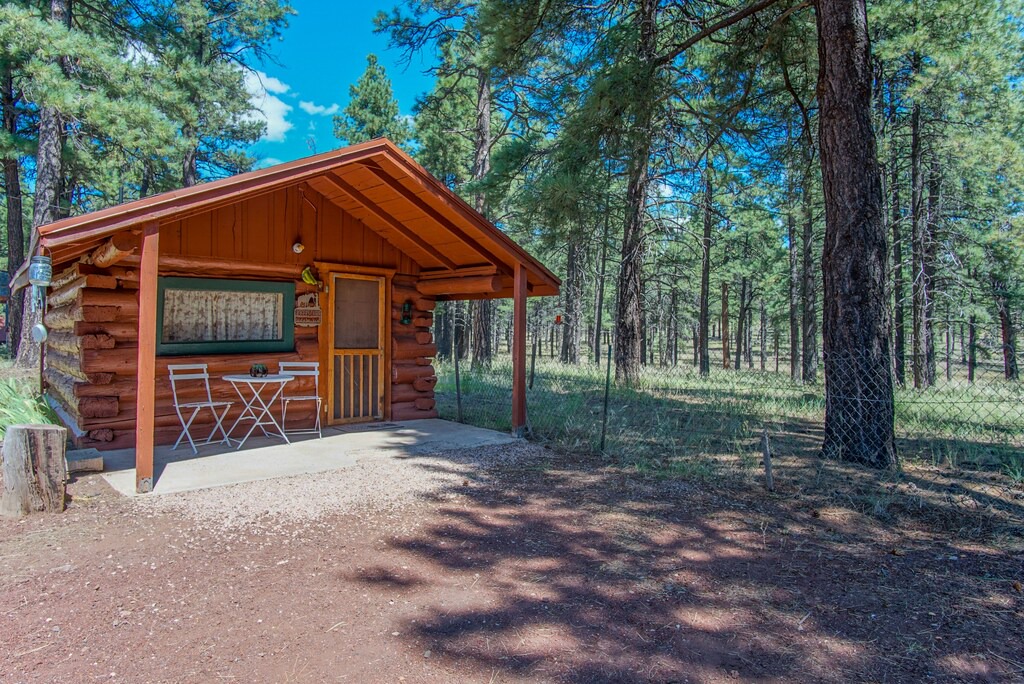 Photo of Buildings in Parks