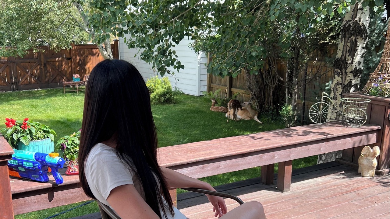 Photo of Outdoor in Red Lodge