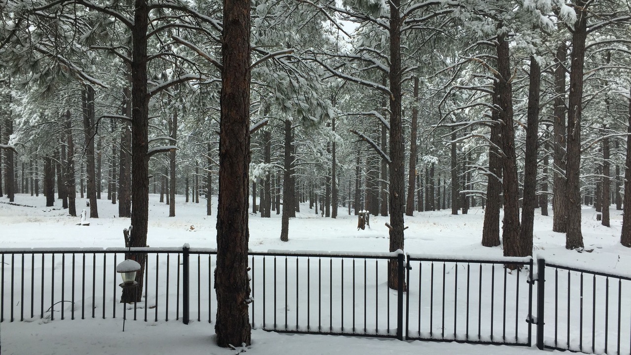 Photo of Others in Flagstaff