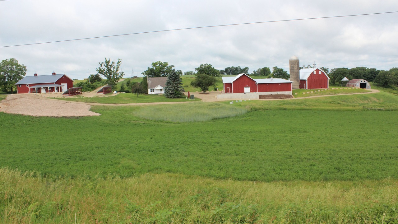 Photo of Others in Dodgeville