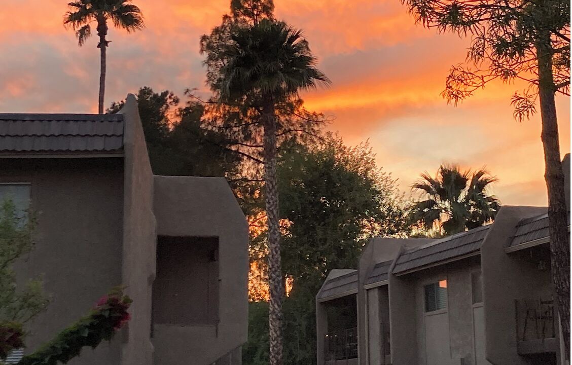 Photo of Outdoor in Winfield Place