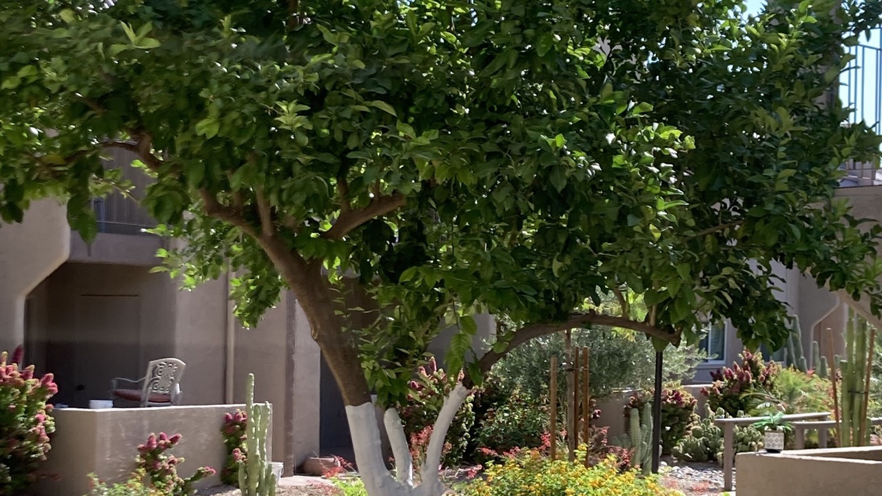 Photo of Others in Winfield Place