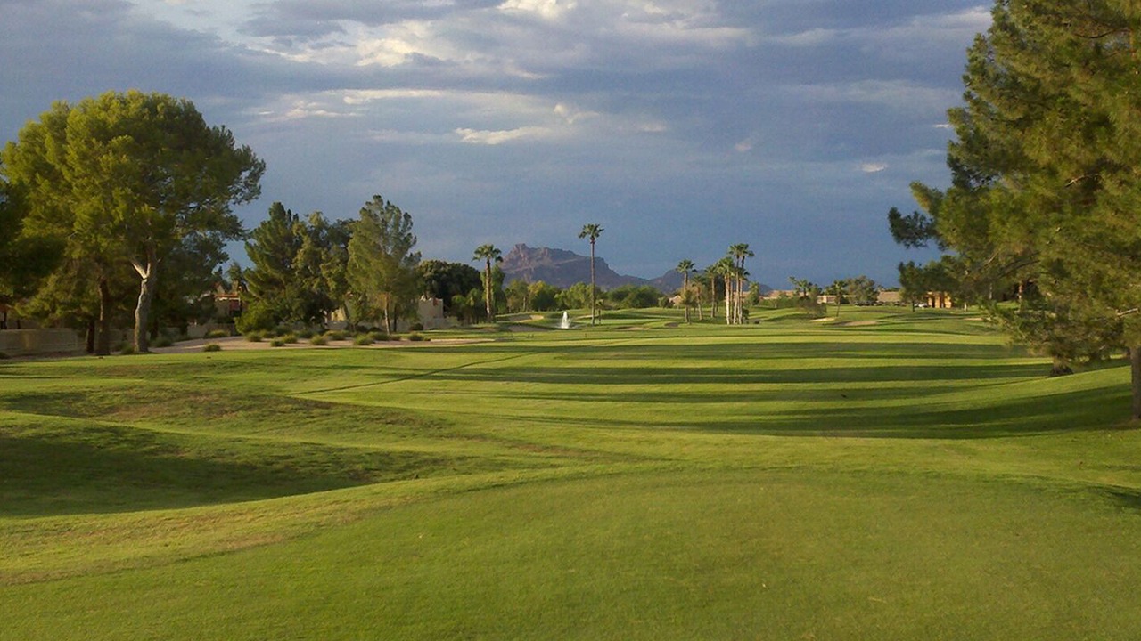 Photo of Others in Alta Mesa