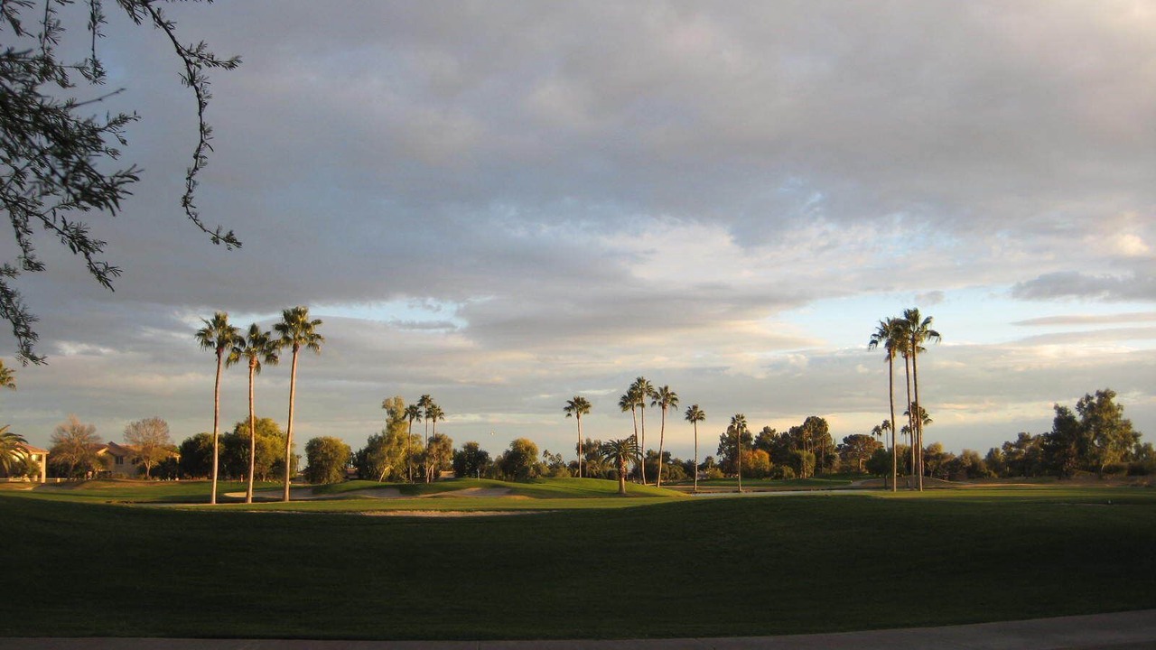 Photo of Others in Alta Mesa