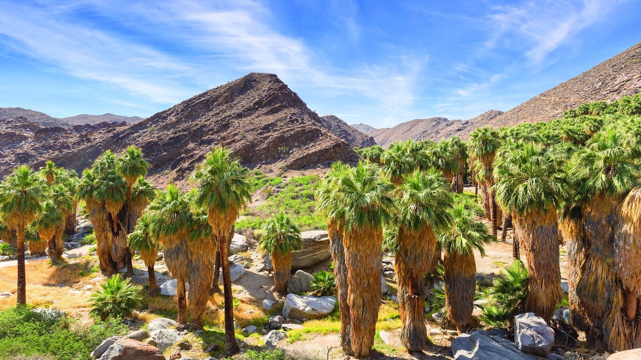 Photo of Outdoor in Palm Springs