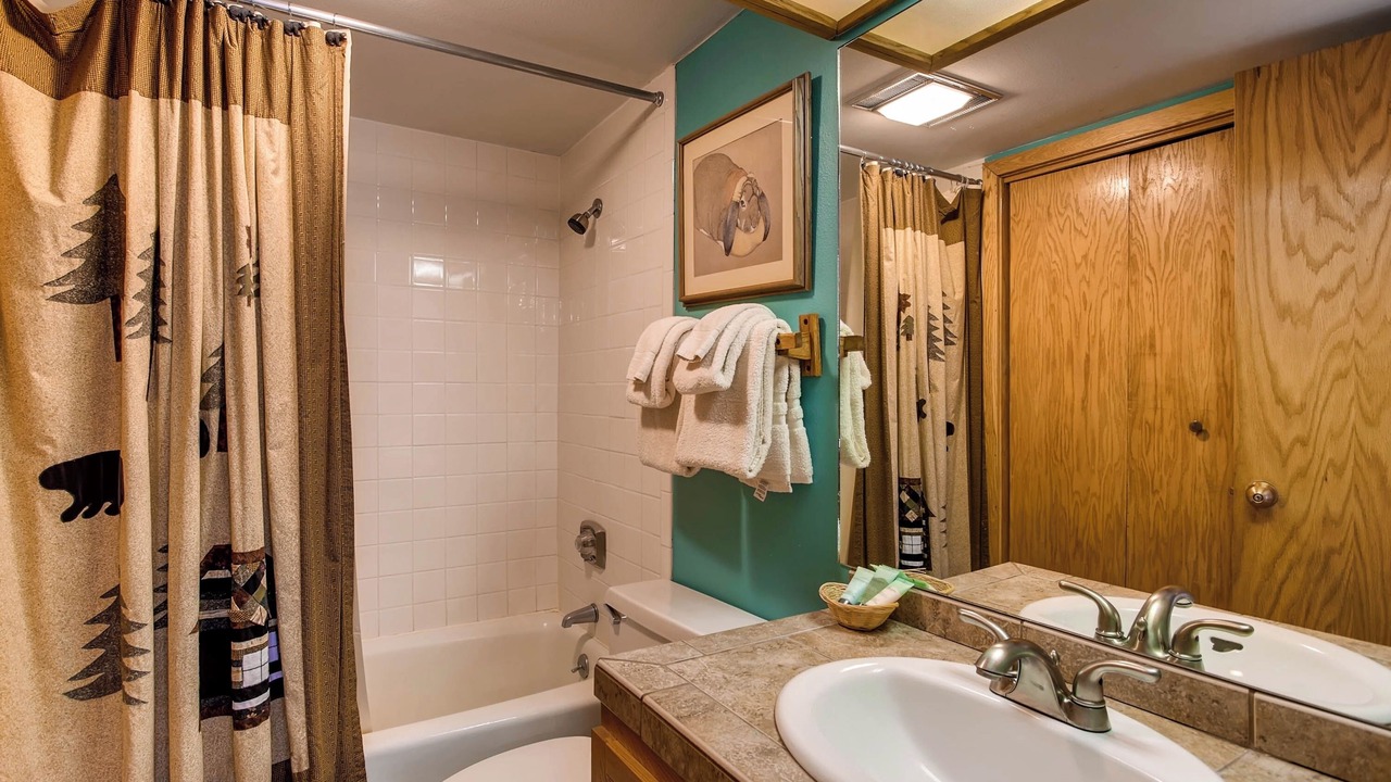 Photo of Bathroom in Mount Crested Butte