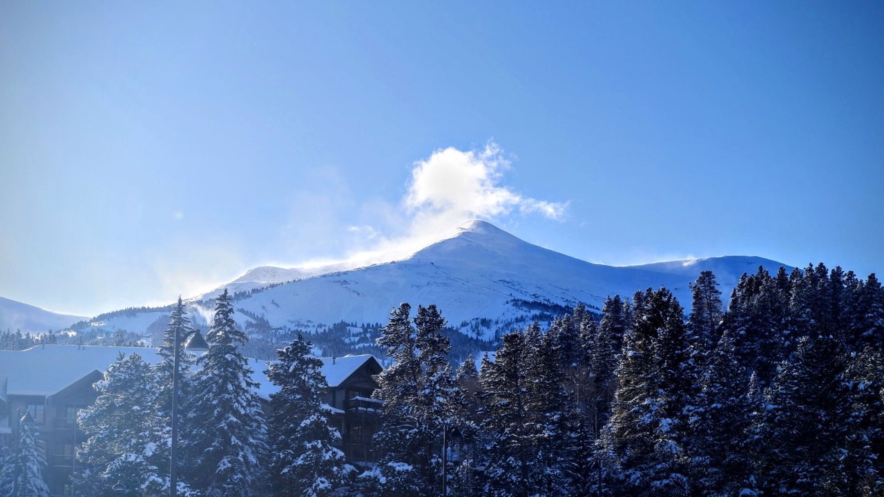 Photo of Others in Four O'Clock