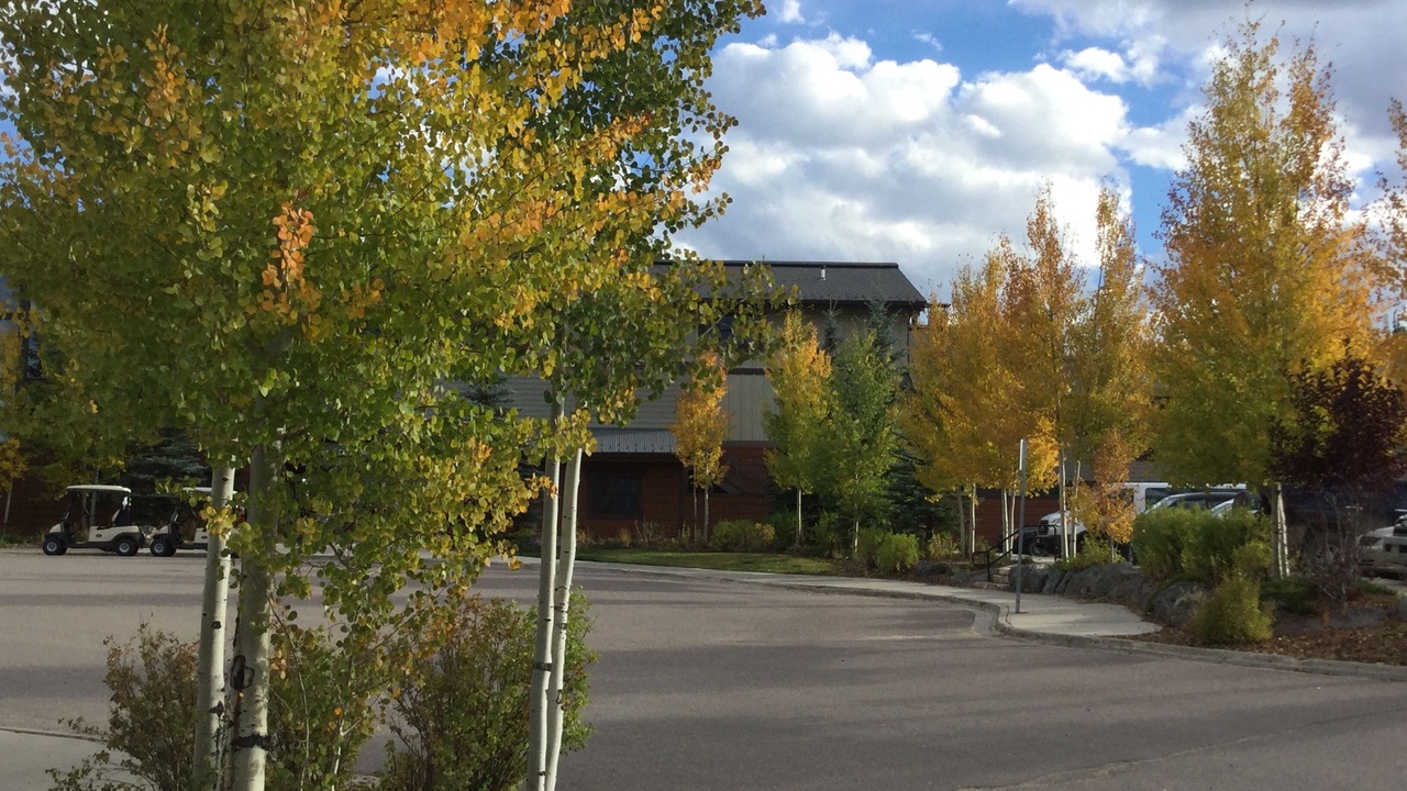 Photo of Outdoor in Silvercreek