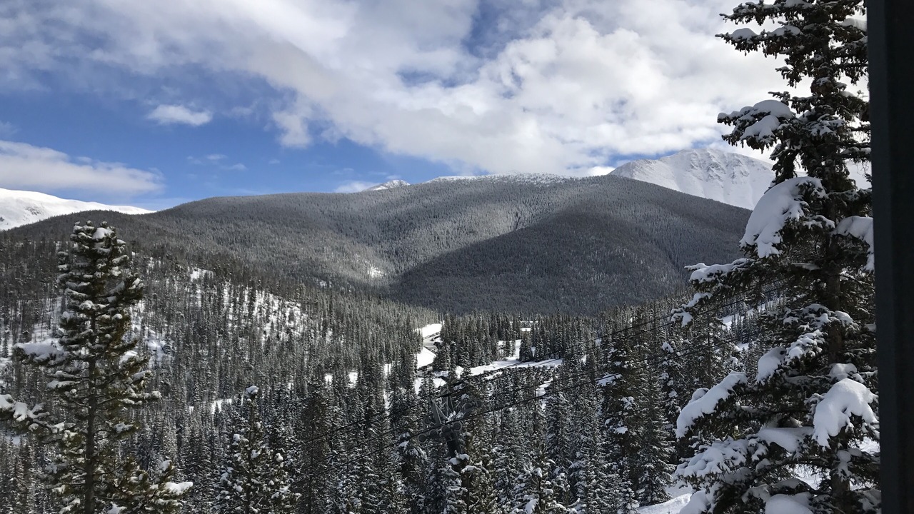 Photo of Others in Fraser