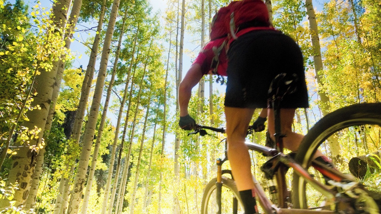 Photo of Others in Winter Park