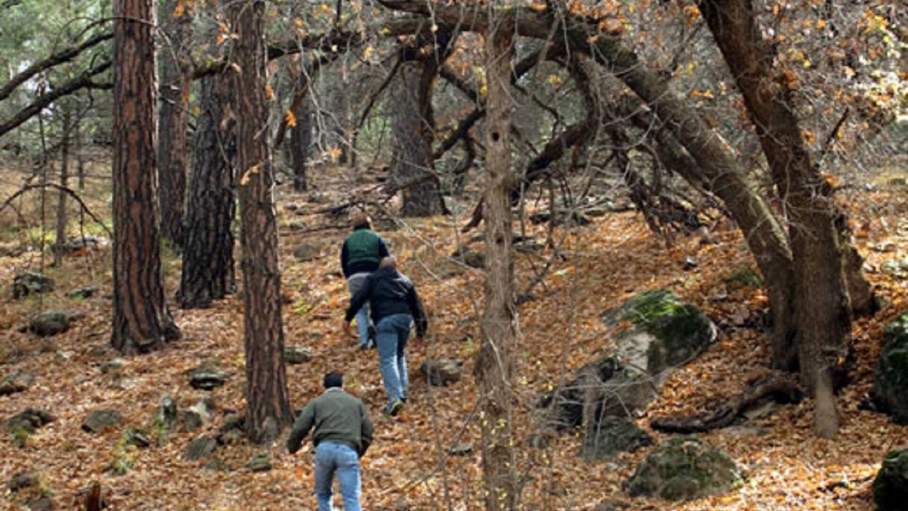 Photo of Outdoor in Kohls Ranch