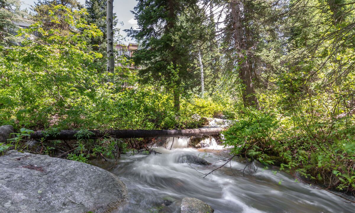 Photo of Others in Steamboat Springs
