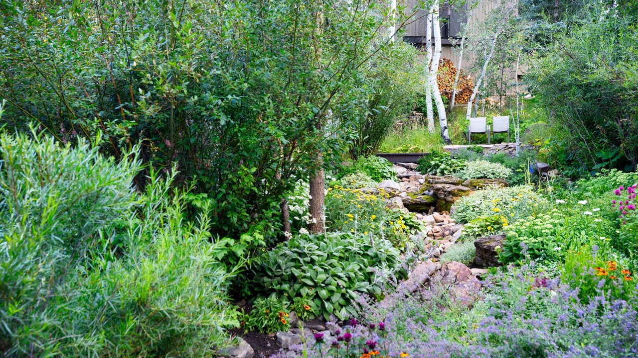 Photo of Outdoor in Snowmass Village