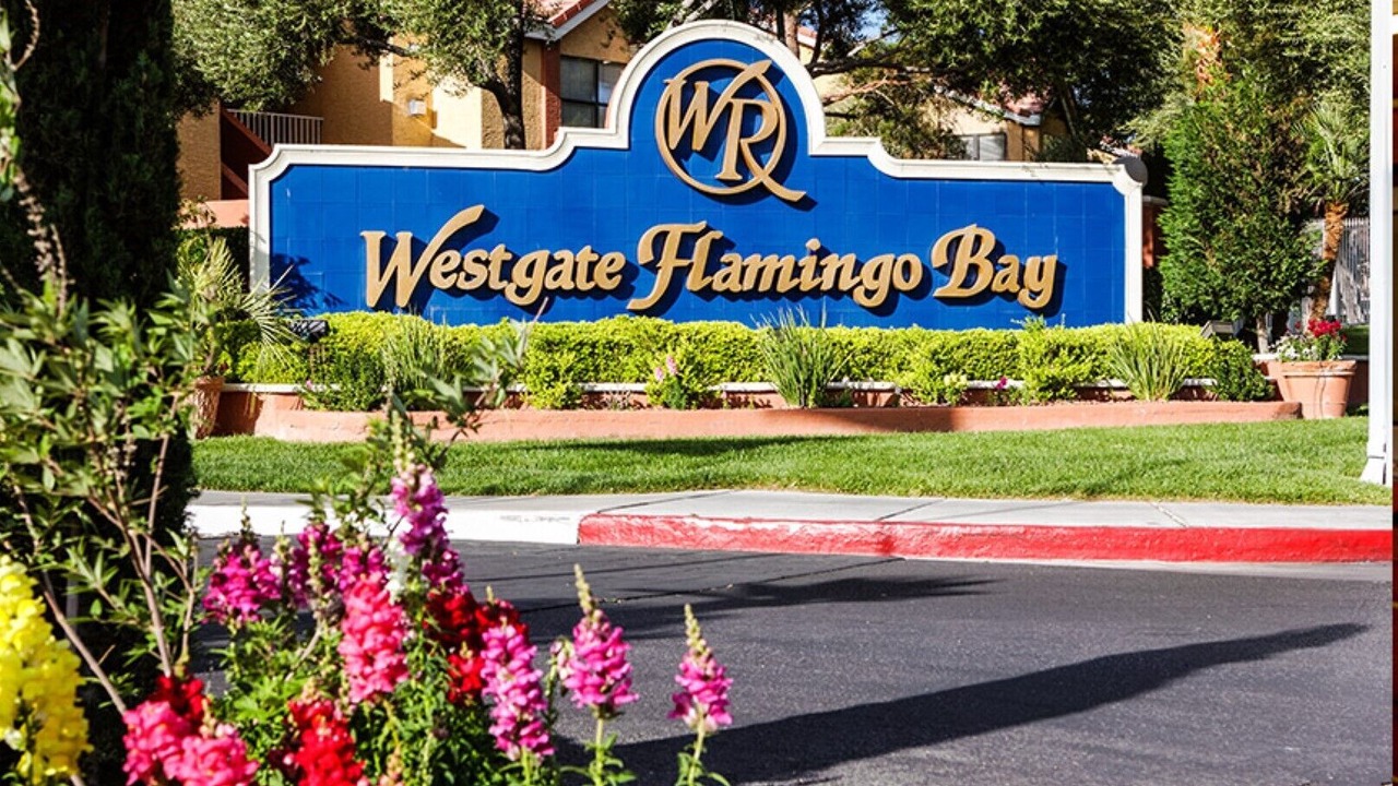 Photo of Outdoor in Las Vegas