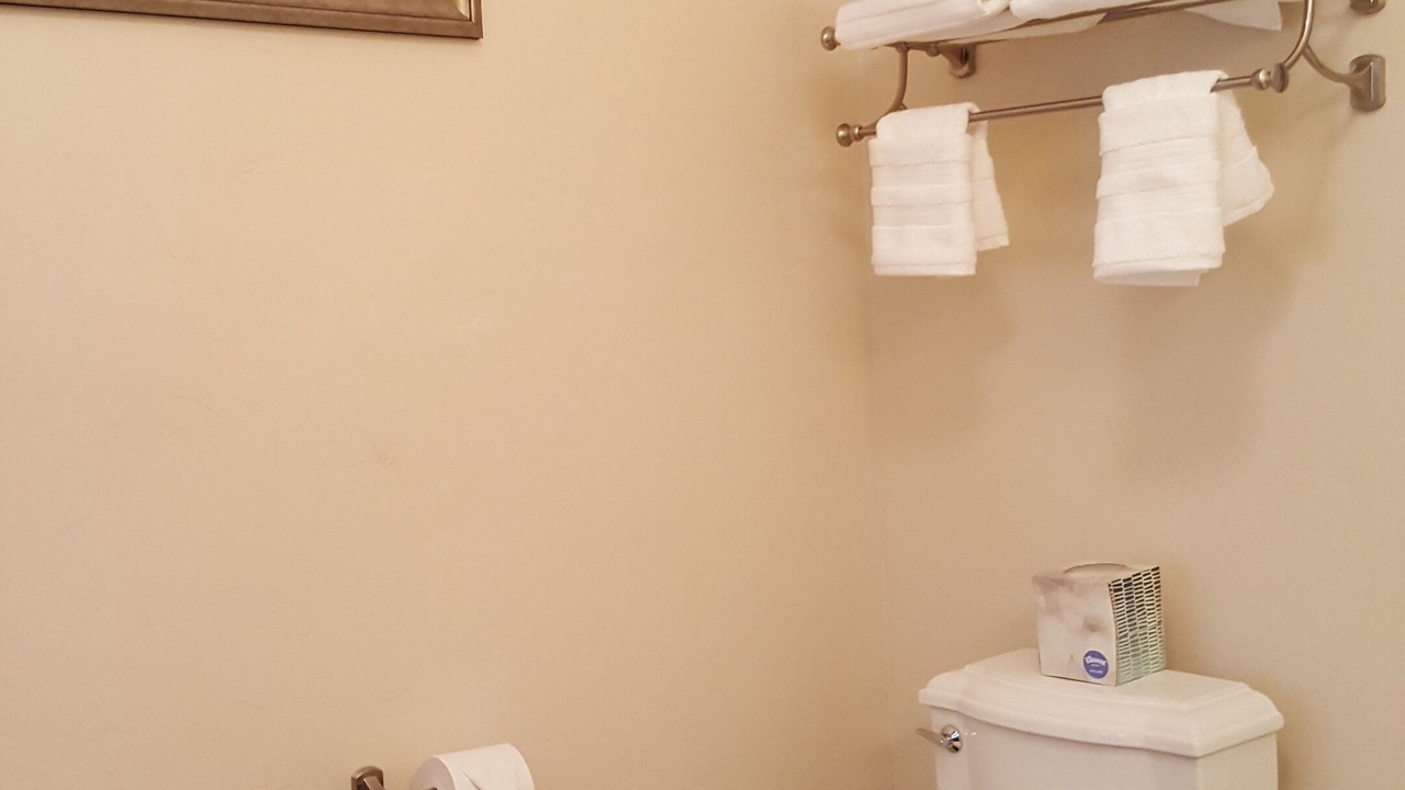Photo of Bathroom in Downtown Tucson