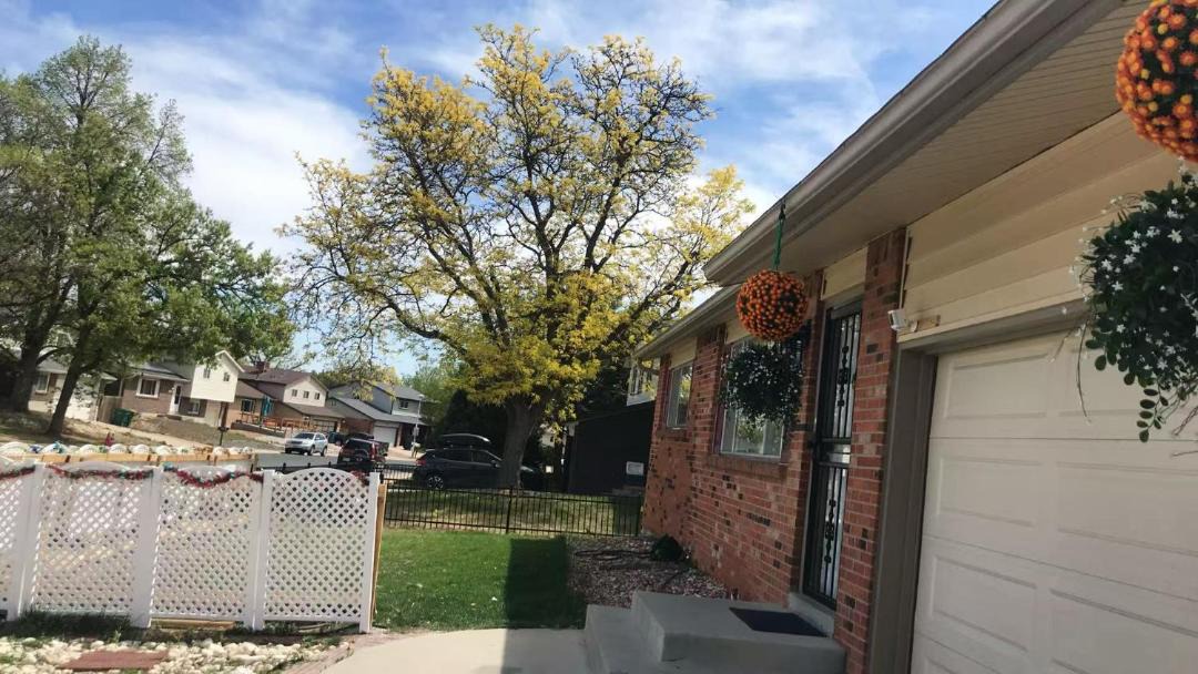 Photo of Others in West Westminster