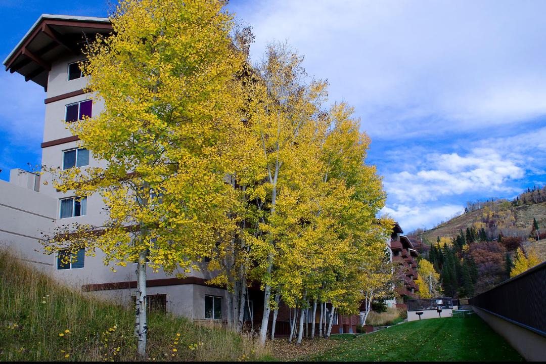 Photo of Others in Steamboat Springs