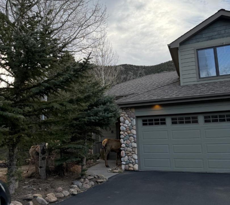 Photo of Others in Estes Park