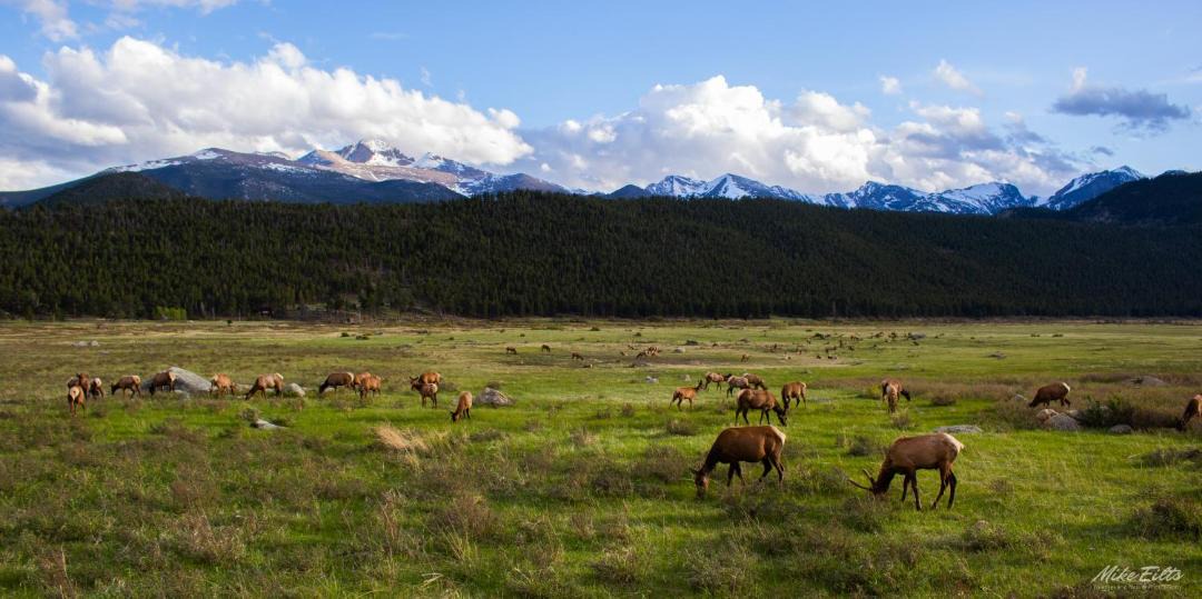 Photo of Others in Estes Park