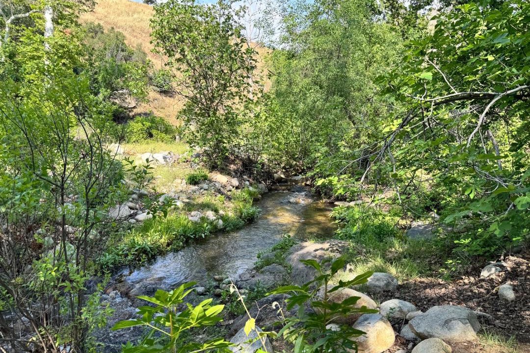 Photo of Others in Three Rivers