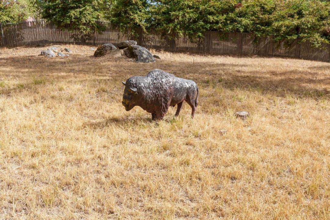 Photo of Others in Oakhurst