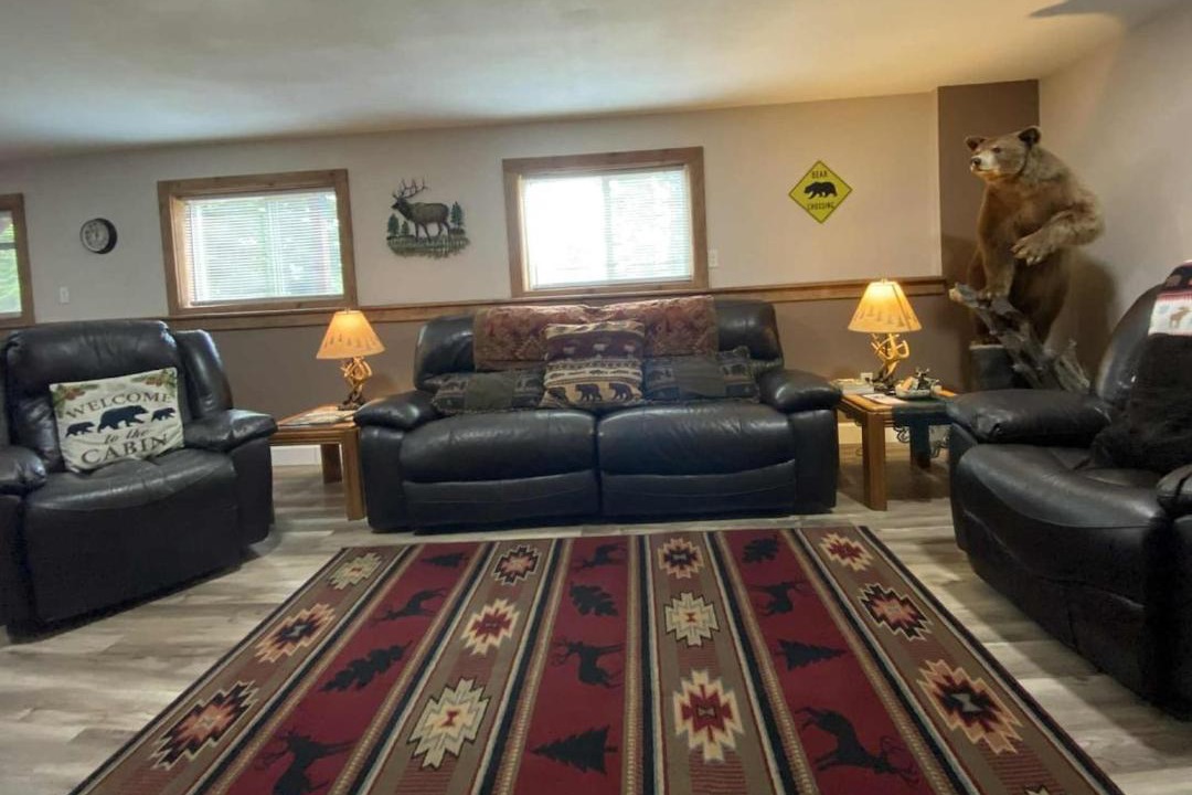 Photo of Livingroom in Seeley Lake