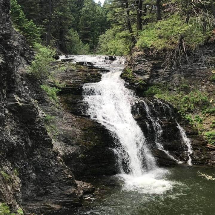 Photo of Others in East Glacier Park